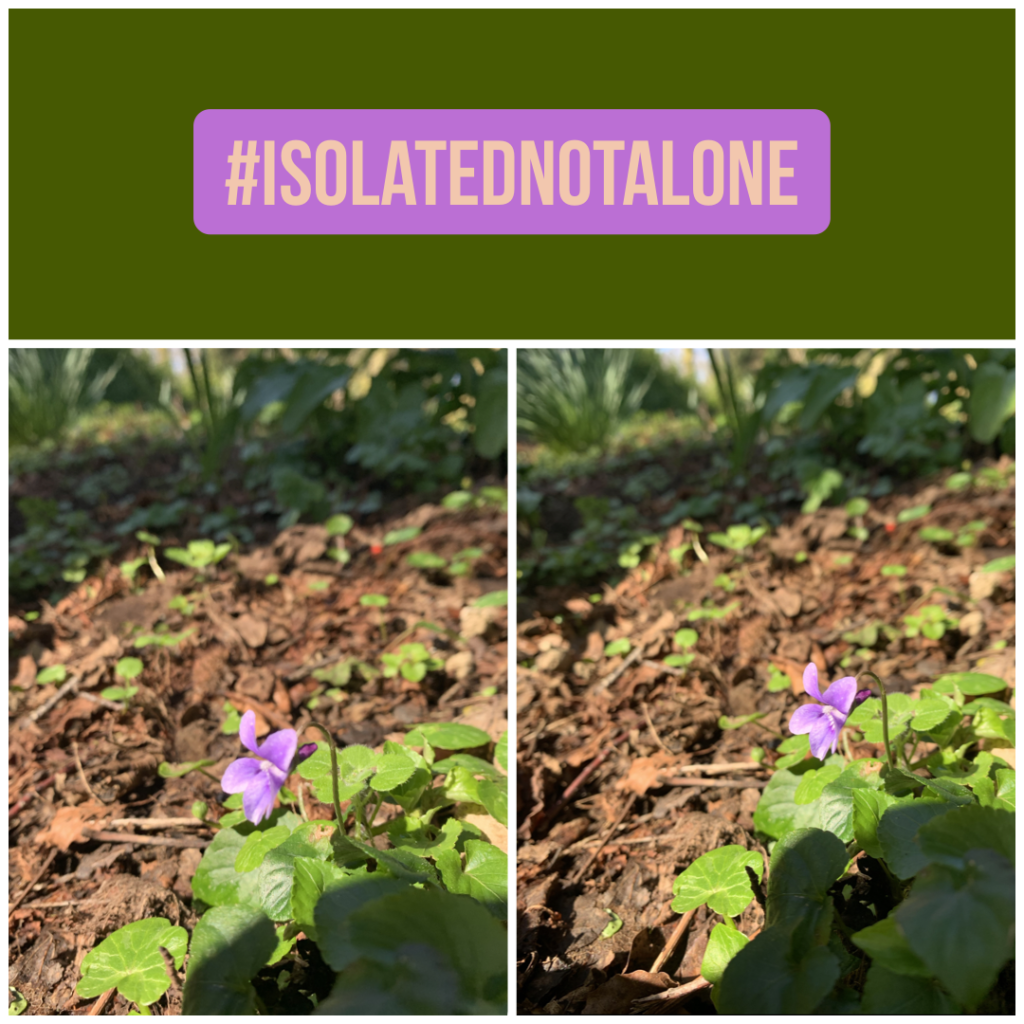 #isolatednotalone