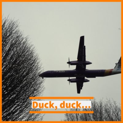 Duck! Duck!’ Landing Plane at Victoria Park Belfast