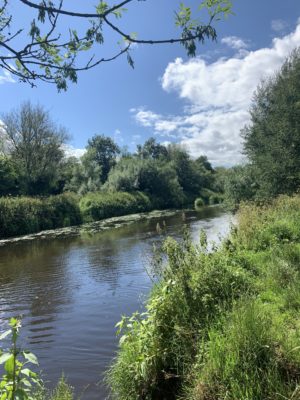 Lagan