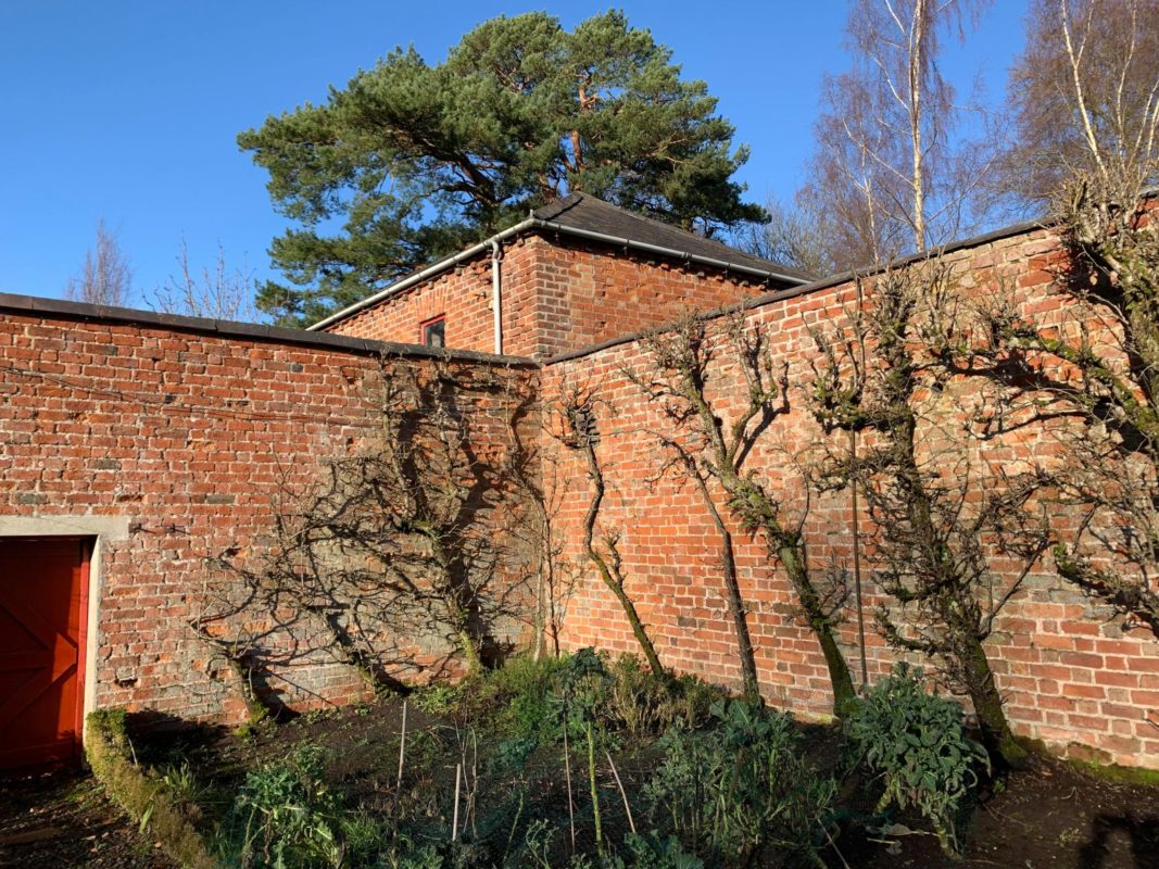 The walled garden walls