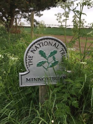 National Trust Minnowburn sign nr Giant's Ring