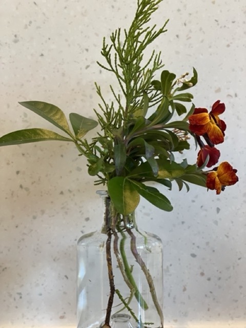 Foraged Foliage and Flowers displayed in a small glass bottle,