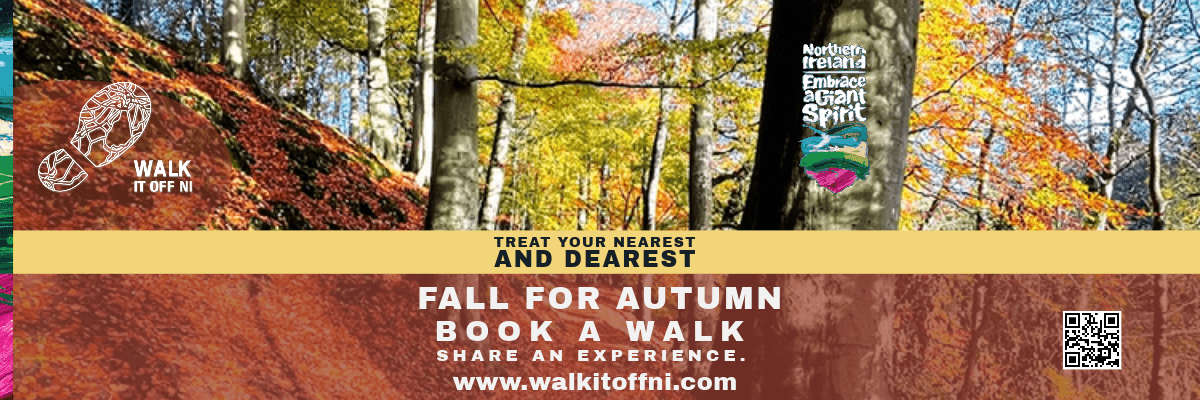 Twilight Hidden Huntley Experience. Picture of golden autumnal forest scene ideal for walking.  Walk It Off NI logo and Embraceagiantspirit logo Treat your nearest and dearest, Fall for Autumn, book a walk. Share an Experience.
